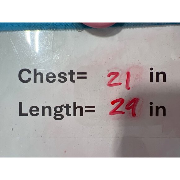 Bella + Canvas Western Bison Graphic Tee Size Medium Buffalo Southwestern Rodeo - Picture 5 of 6